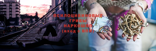 крисы Алзамай