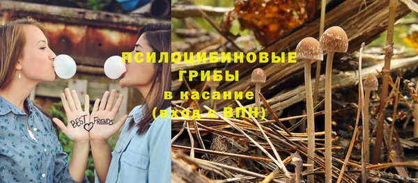 герыч Алексин