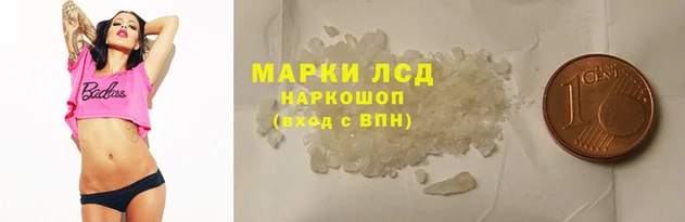 крисы Алзамай