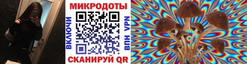 Галлюциногенные грибы мицелий  Октябрьск 